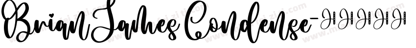 Brian James Condense字体转换
